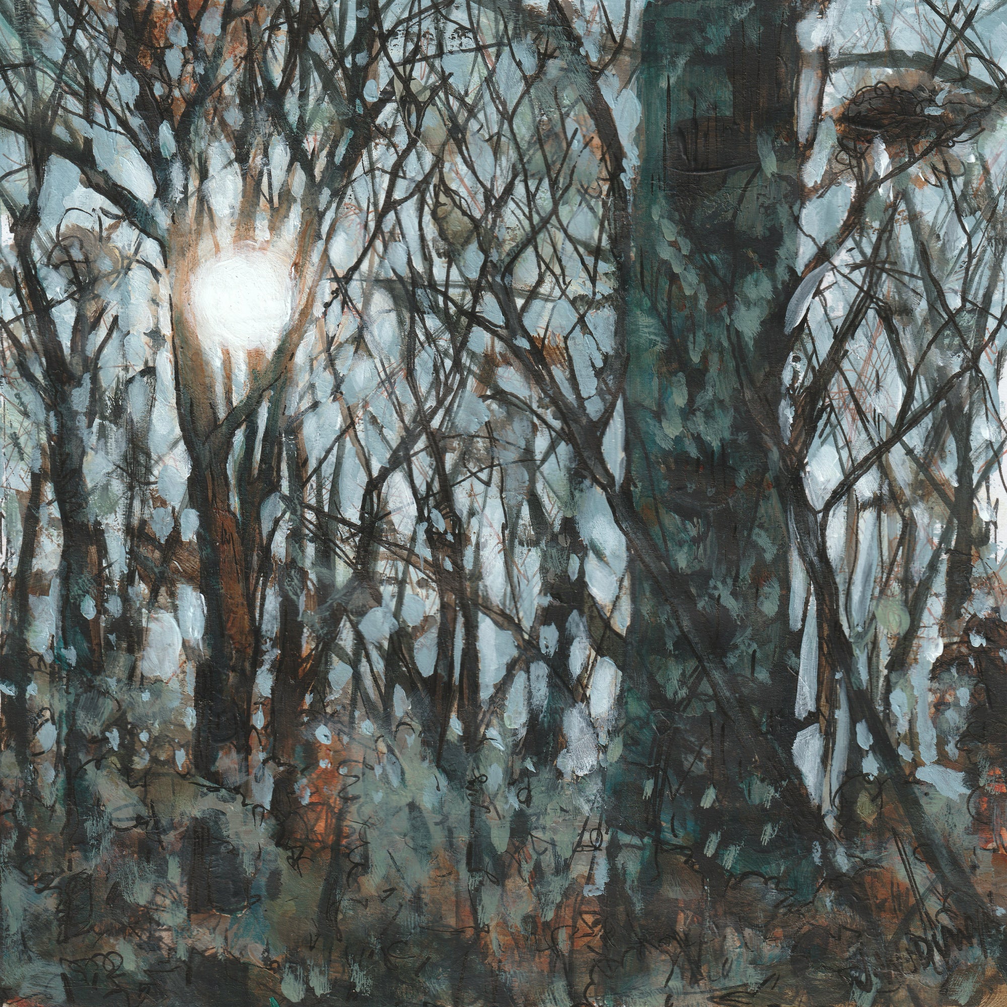 Landscapes: Through the Trees-2
