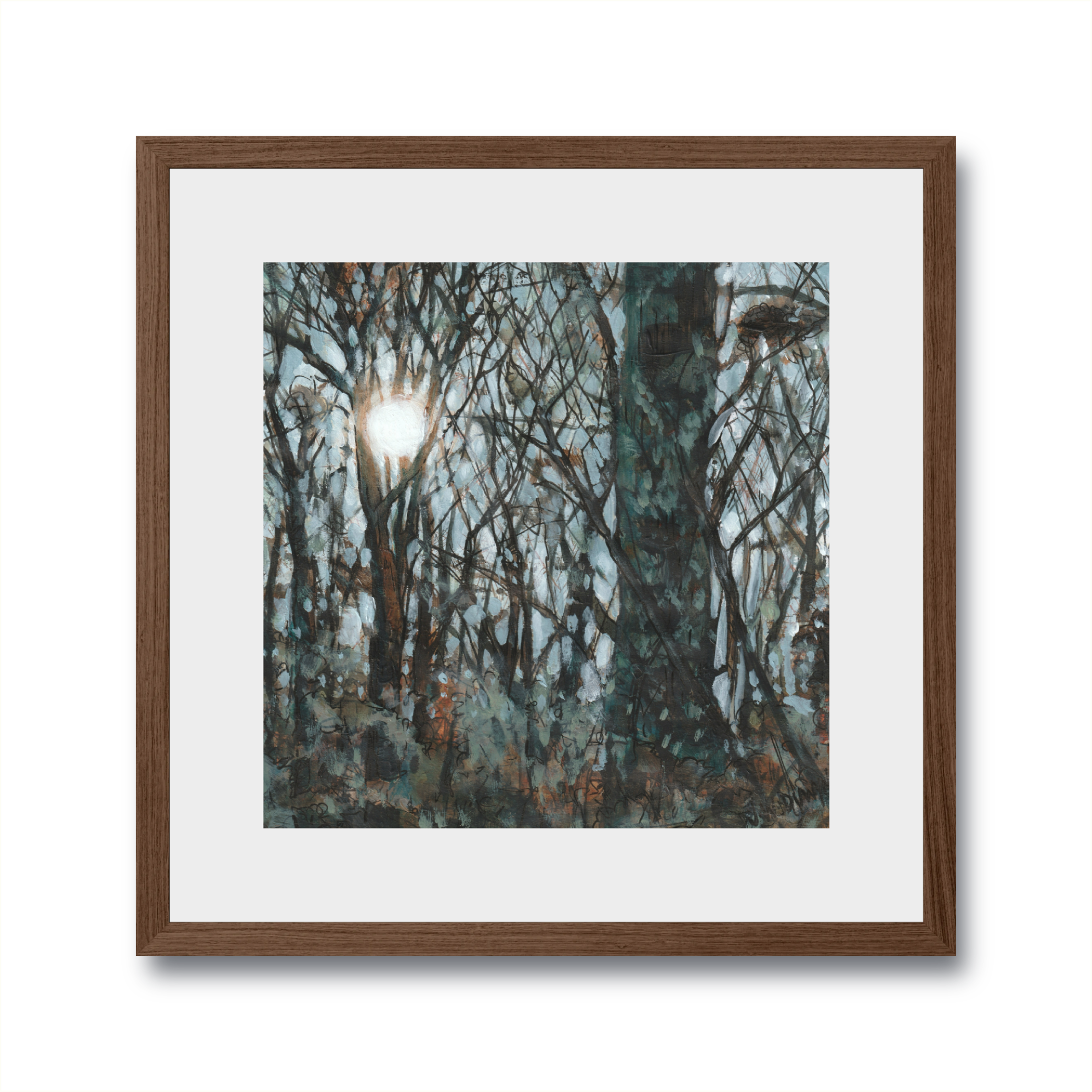 Landscapes: Through the Trees