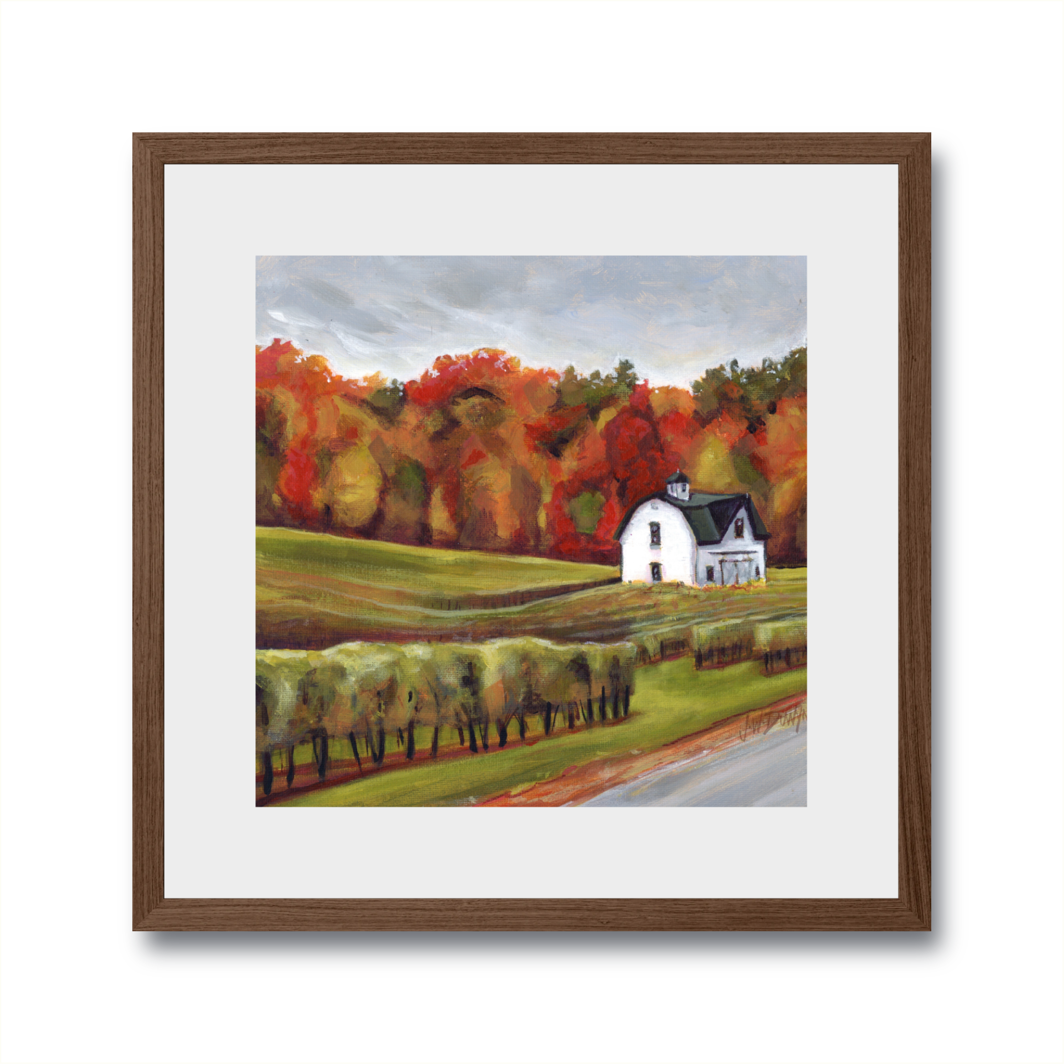 Landscapes: The Vineyard