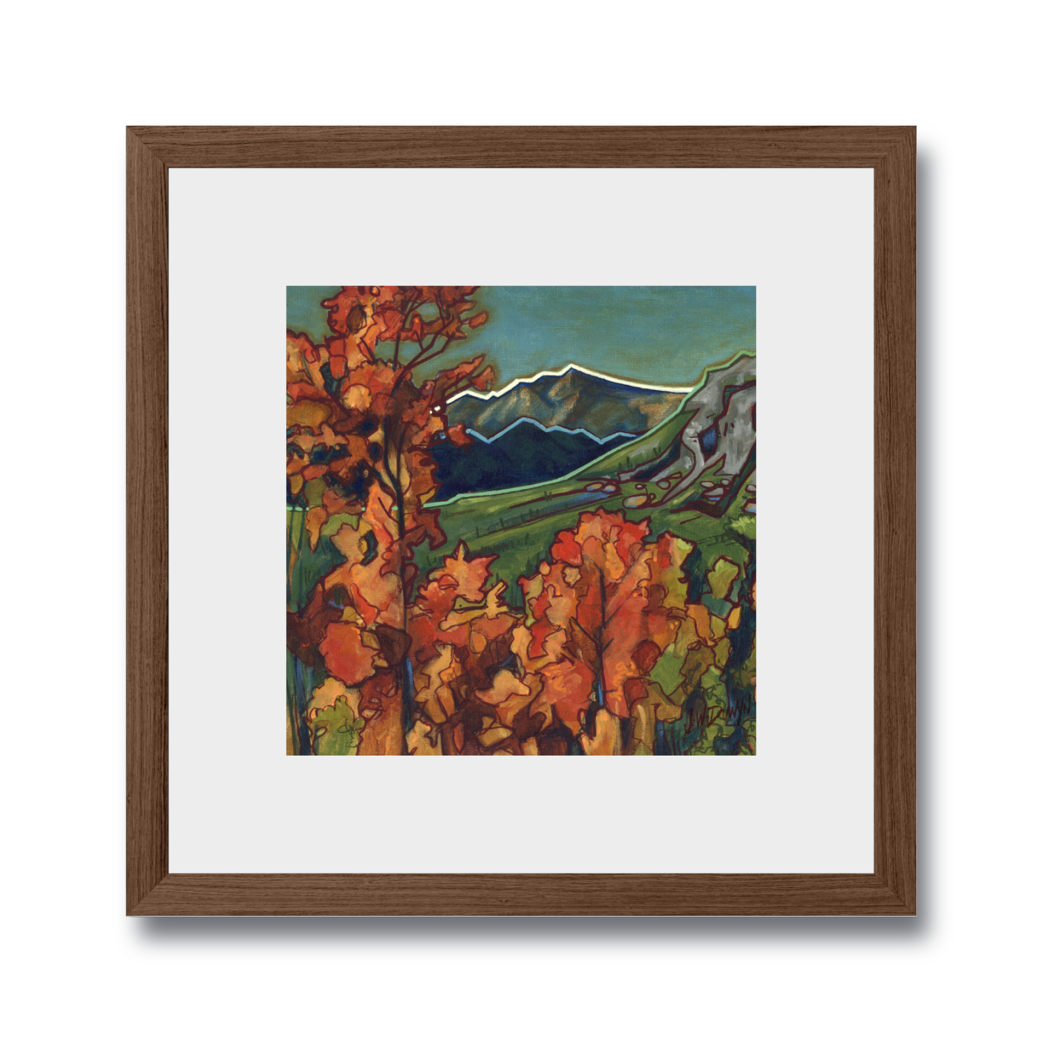 The Rockies No4